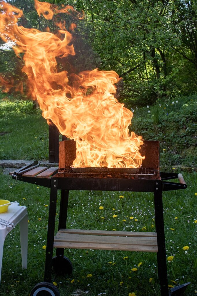 suburb backyard barbeque BBQ